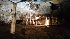 Cueva de Postojna