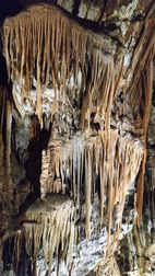 Cueva de Postojna