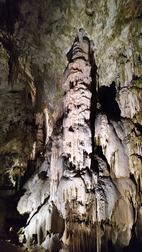 Cueva de Postojna