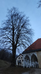 Iglesia de la Anunciación, Crngrob