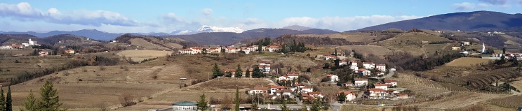 Paisaje de viñedos en el Valle de Vipava Paisaje de viñedos en el Valle de Vipava