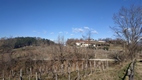 Paisaje de viñedos en el Valle de Vipava