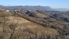 Paisaje de viñedos en el Valle de Vipava