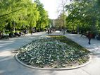 Sofica City Garden