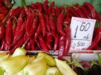 Ladies Market
