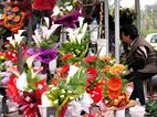 Ladies Market