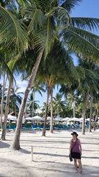 Alona Beach