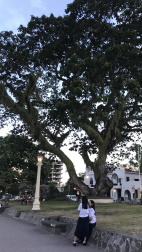 Rizal Boulevard, Dumaguete