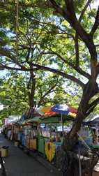 Aquino Freedom Park, Dumaguete
