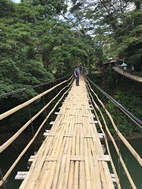 Sipatan Twin Hanging Bridge, isla de Bohol