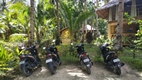 Water to Forest, Loboc, isla de Bohol