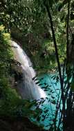 Kawasan Falls