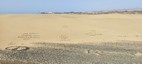 Duna sde Maspalomas