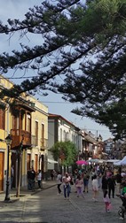 Pueblo de Teror