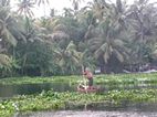 Backwaters
