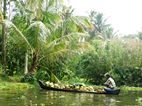 Backwaters