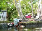 Backwaters