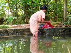 Backwaters