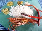 Comida en restaurante Ammus, Backwaters