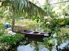 Alquiler de canoas a remos