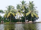 Backwaters