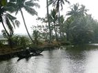Backwaters, vistas desde el ferry de Kottayam a Allepey