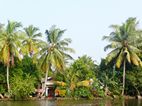 Backwaters, vistas desde el ferry de Kottayam a Allepey
