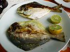 Pescado de la playa de Cochin