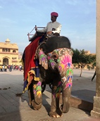 Acceso en elefante a Amber Fort