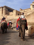 Amber Fort