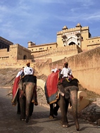 Amber Fort