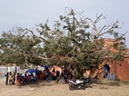 Jaigarh Fort