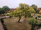 Jaigarh Fort