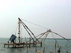Redes de pesca chinas
