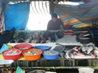 Playa de Fort Kochi