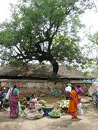 Mercado de Madurai