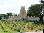 Shiveta Varahaswamy Temple, Palacio del Maharajá