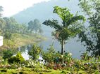 Periyar National Park