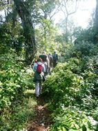 Periyar National Park
