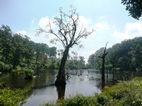 Periyar National Park