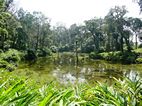 Periyar National Park