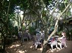 Coffee Inn
