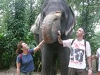Elephant Junction