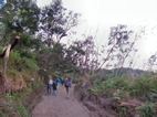 Ascension al volcan Ijen
