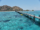 Isla de Kanawa, Flores