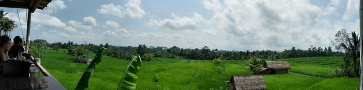 Vistas desde Rest. Sari Organic