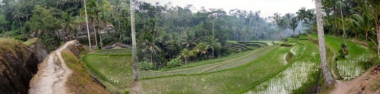 Acceso al templo de Gunnung Kawi
