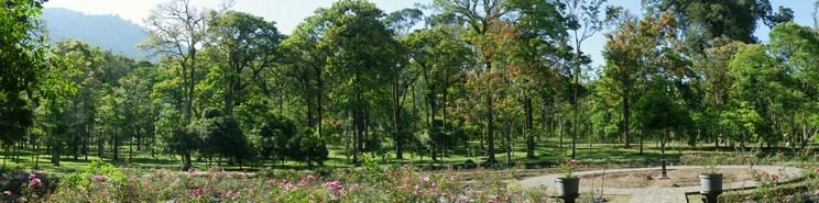 Jardín Botánico en Bedugul