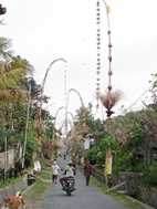 Ofrendas en una calle de Ubud