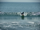 Surf en la playa de Kuta